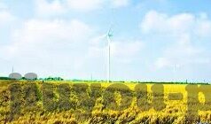 8月31足球比分-8月31日足球赛场风云，比分背后的激情与悬念