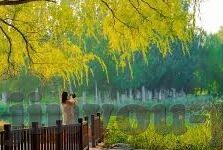 黄海足球13号比分-黄海足球13号，一场比分背后的荣耀与拼搏