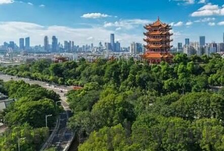 球 网足球比分网-揭秘网足球比分网，球迷的必备神器还是信息过载的陷阱？